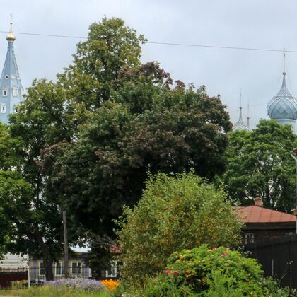 Ярополье. Вид на здание православной гимназии и купола Троицкого храма.